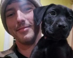 Deaf man adopts rescue puppy with hearing loss and teaches him sign language