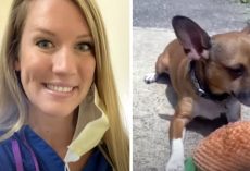 Nurse Being Hailed A Hero For Adopting Dog After Owner Dies