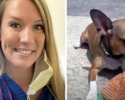 Nurse Being Hailed A Hero For Adopting Dog After Owner Dies