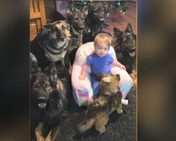 This is what happens when a baby is raised by 5 dogs