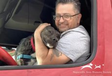 Dog Who Spent Over A Year At Shelter Beams As He Climbs Into Car With New Dad