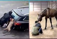 Most UNBELIEVABLE Animal Moments Ever Caught On Camera