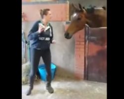 Horse And His Owner Have A Blast Grooving To “All About The Bass”