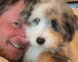 Michael J. Fox reveals new, adorable pet dog named Blue: ‘Welcome to your new home!’