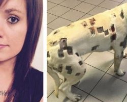 She thought dog was full of bites – then vet looks closer and calls the police