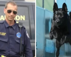Attackers Beat Up Lone Cop, But They Didn’t Know His K-9 Partner Was With Him