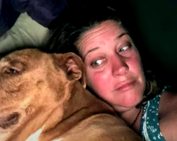 Couple Wakes Up To Find An Unfamiliar Dog Snuggled In Their Bed