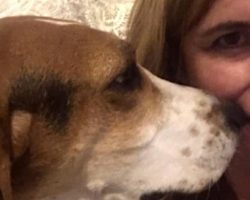 Dog refuses to stop sniffing owner’s nose – then she realises she’s trying to warn her