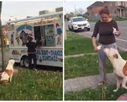 Excited pit bull patiently waits on line for his ice cream, becomes a viral star