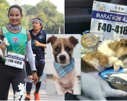 Runner finds an abandoned puppy during marathon, picks her up and gives her a home