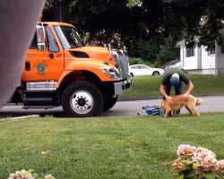 Owner Secretly Films Garbage Man Approaching His Dog