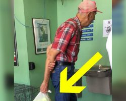 Old man brings bag to animal shelter, when she sees what’s inside, her tears flow