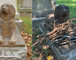 People leave sticks at the cemetery plot of dog who died 100 years ago