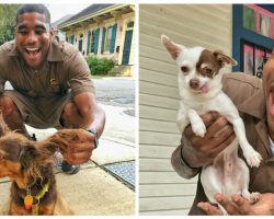 Dog-loving UPS driver always stops to take a photo with the pets on his route