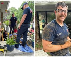 Firefighters rescue one-week-old puppy who was trapped under porch deck — thank you