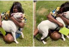Emotional moment as dog missing for three years reunites with late owner’s sister