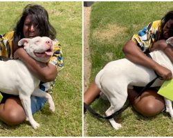 Emotional moment as dog missing for three years reunites with late owner’s sister