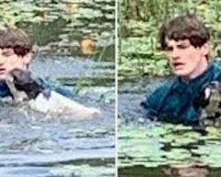 Teen jumps into lake to save stranger’s dog from drowning