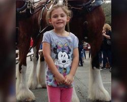 Dad takes daughter’s photo in front of giant horse, looks closer and can’t stop laughing