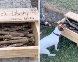 Dad builds a ‘stick library’ for his local park so the dogs always have something to fetch