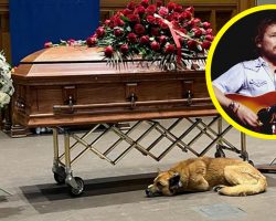 Dog curls up next to Gordon Lightfoot’s casket during memorial service: “Gordon loved dogs”