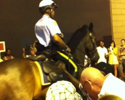 Police Horse Gets Down on Bourbon Street in New Orleans