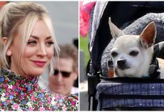 Kaley Cuoco mourns beloved dog Dump Truck: Chihuahua helped her through ‘some of the hardest moments’