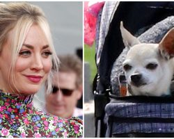 Kaley Cuoco mourns beloved dog Dump Truck: Chihuahua helped her through ‘some of the hardest moments’