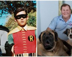 Burt Ward, Robin on classic ‘Batman’ TV series, now dedicates his life to helping animals — here’s how