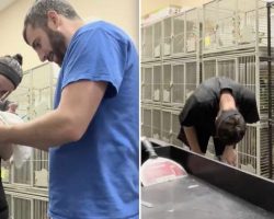 Parrot Makes Veterinary Staff Cry With Laughter During Nail Trim