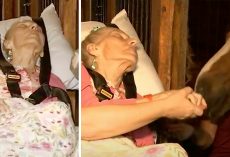 Hospice grants dying 79-year-old woman’s final wish – to see her beloved horse one last time