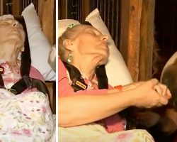 Hospice grants dying 79-year-old woman’s final wish – to see her beloved horse one last time