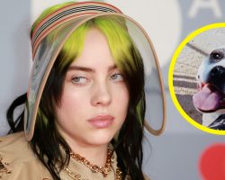 Billie Eilish mourns death of childhood dog Pepper: “My lifelong best friend”