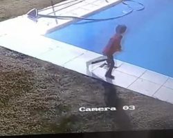 Young Boy Saves Puppy From Drowning In Swimming Pool