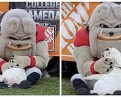 Viral video captures loving moment between bulldog puppy and his favorite mascot