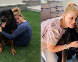 Candace Cameron Bure shares sweet tribute to her late dog Boris: “Our hearts will never get over you”
