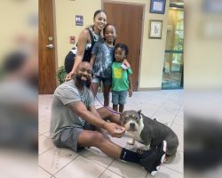 Dog missing for three years finally found, reunites with family