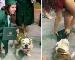 School mascot tired of posing for pictures steals college graduate’s diploma