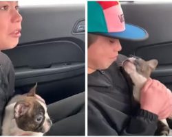 Boy Busted Into Tears As He Received Surprise Birthday Puppy From His Late Dad