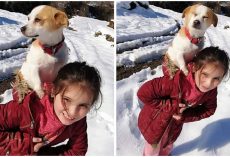 Little Village Girl Braved The Snow To Find Her Pup A Vet