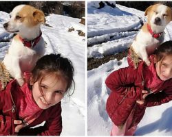 Little Village Girl Braved The Snow To Find Her Pup A Vet