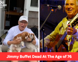 Jimmy Buffett Shared Video of His Beloved Dogs Prior To His Passing