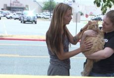 Tears Of Joy As Two Sisters Reunited With Their Cat Days After Apartment Fire