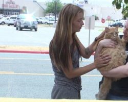 Tears Of Joy As Two Sisters Reunited With Their Cat Days After Apartment Fire