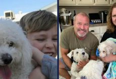 Minion, senior dog who reunited with family after 12 years, has died — rest in peace
