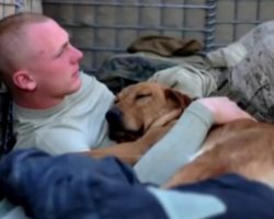 Soldier reunites with Army dog who saved his life after two years apart — watch their beautiful reunion