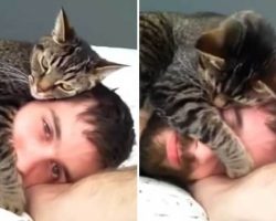 Kitten Lays On Her Human’s Head To Get Warm And Cozy
