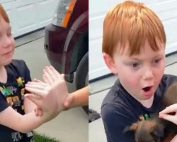 6-year-old saved his own money for 18 months to buy a puppy — his grandma’s surprise left him in tears