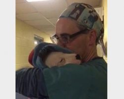 Vet Tenderly Comforts Scared Puppy After Her Surgery