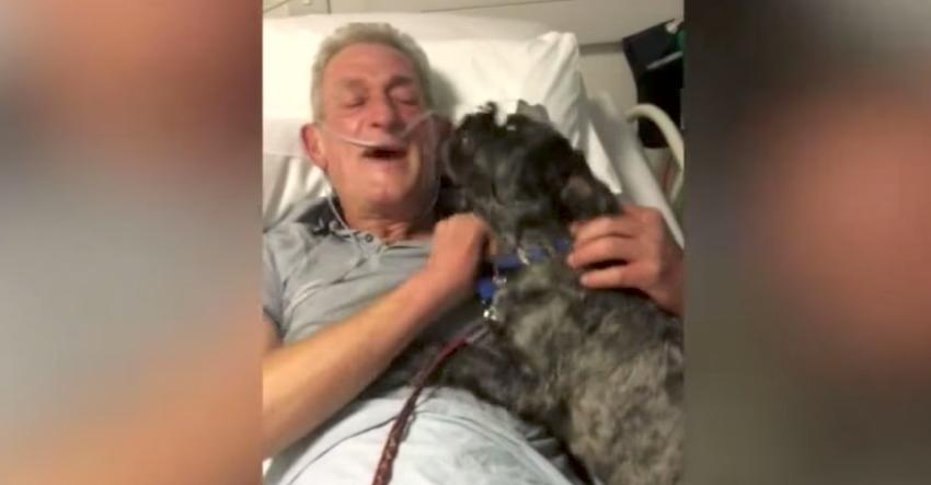 Rescue dog miraculously brings his owner out of a coma